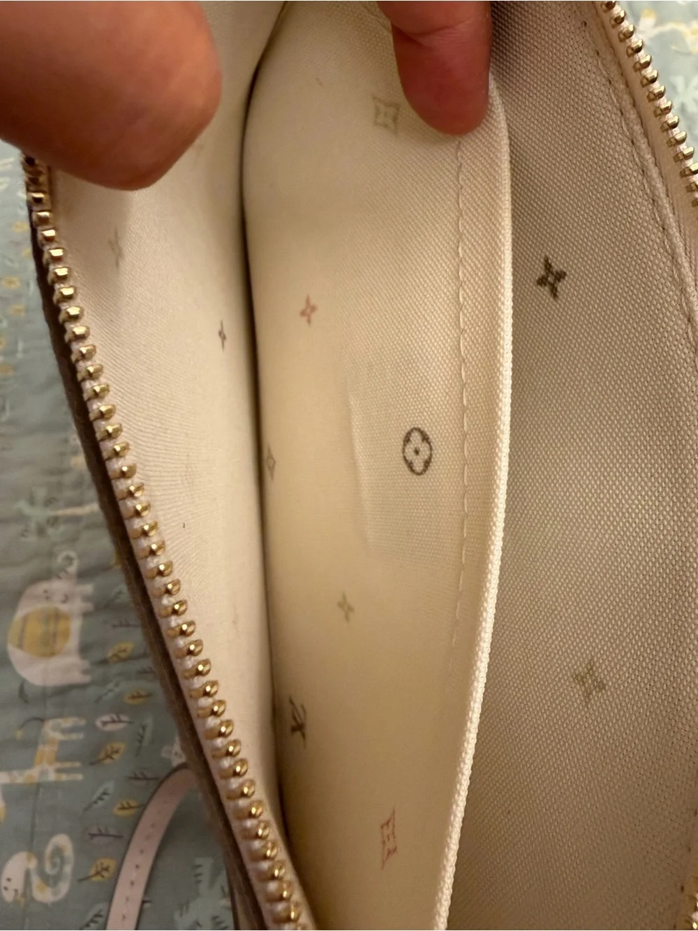 Louis Vuitton Limited Edition Neverfull MM Pouch (PRICE FIRM)